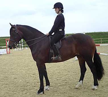 Southway Miss Molly