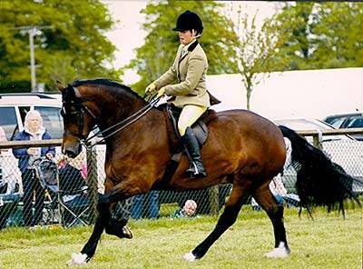 Southway Miss Molly